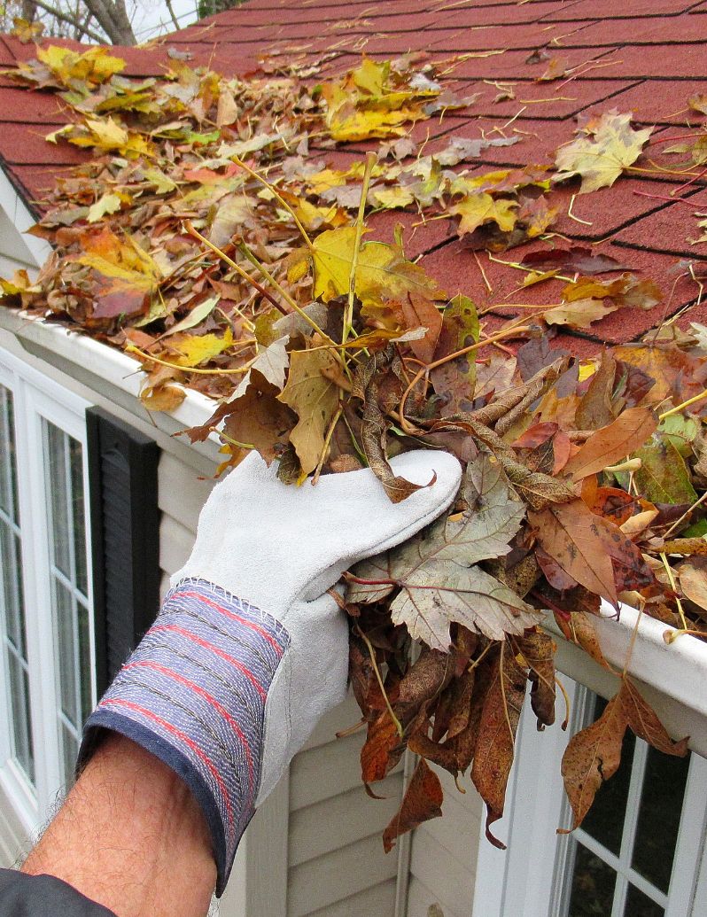 Professional gutter cleaning service removing leaves