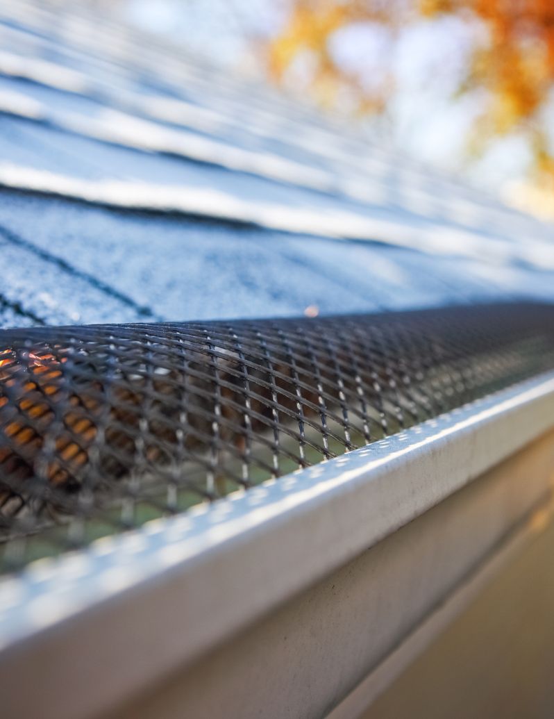 Gutter guard mesh protection system