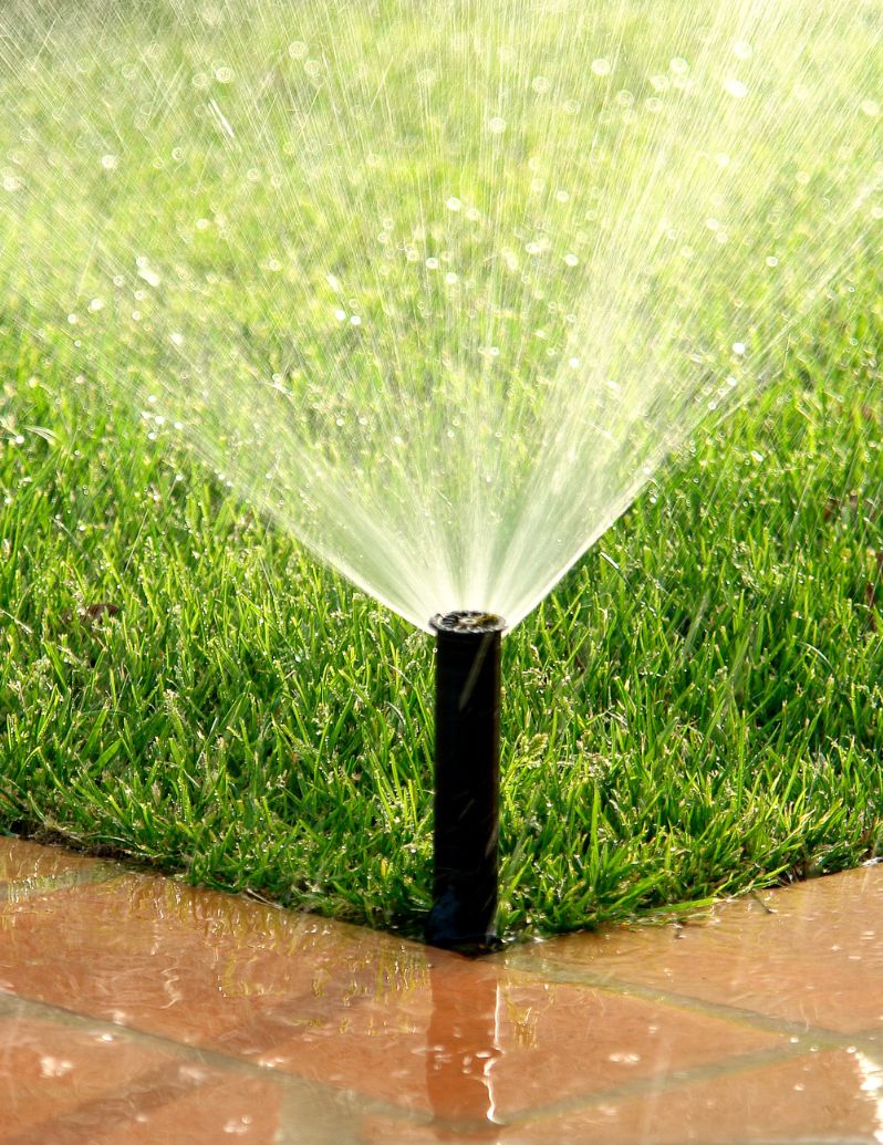 Irrigation sprinkler system in action