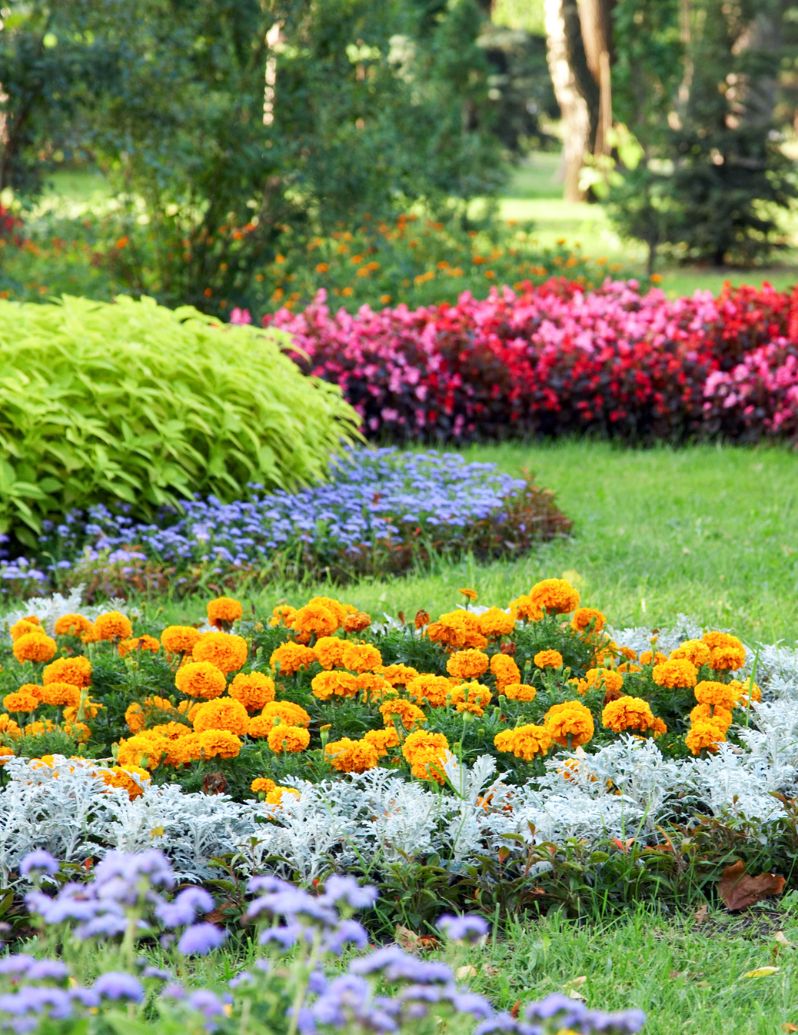 Colorful flower beds and landscaping