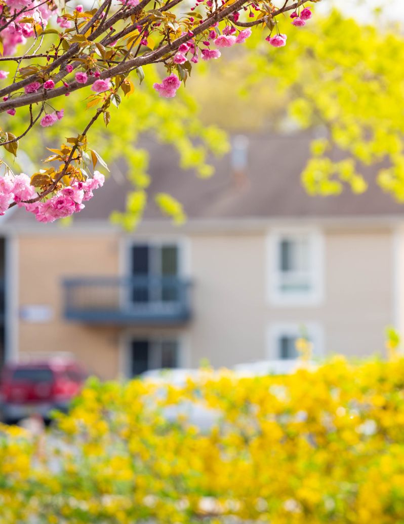 Spring blossoms and colorful landscaping