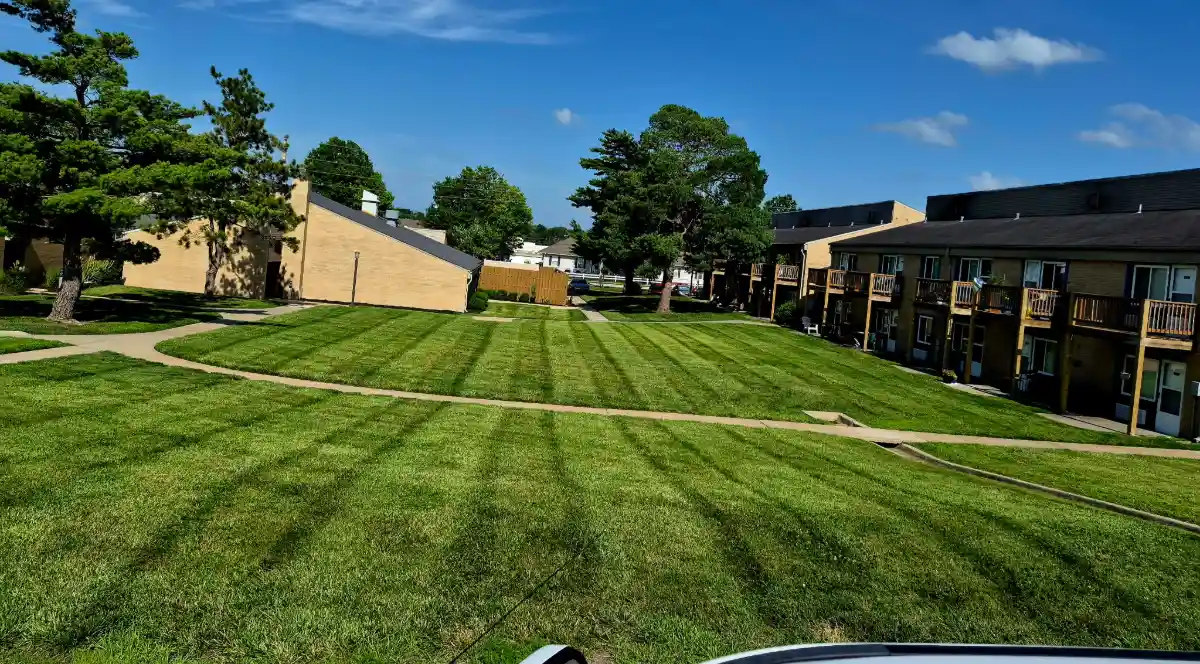 Freshly mowed Kansas City lawn with clean edges