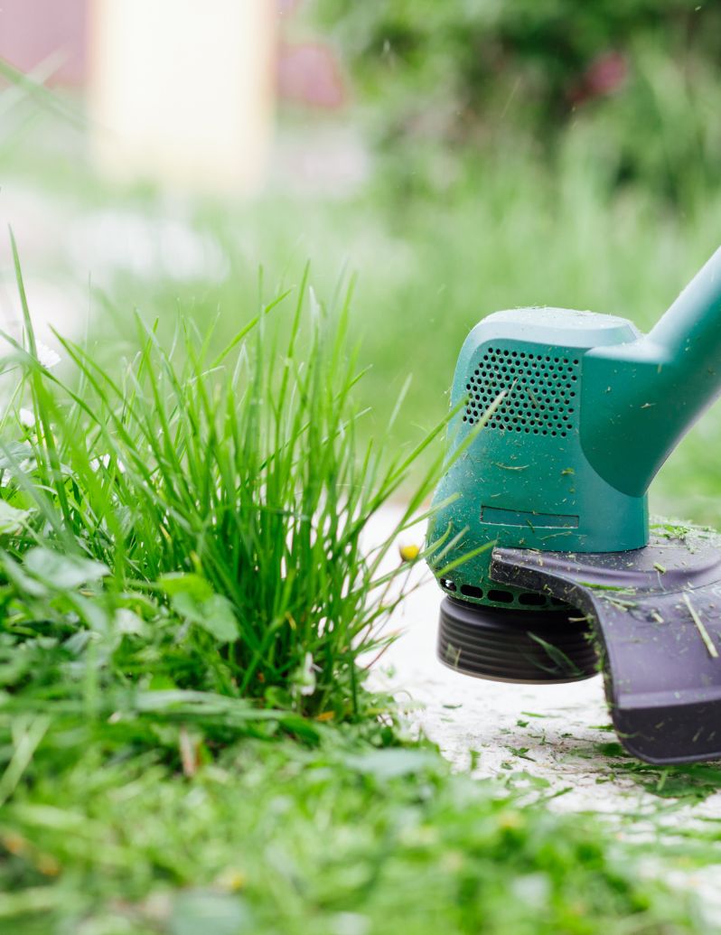 Professional lawn edging and trimming services