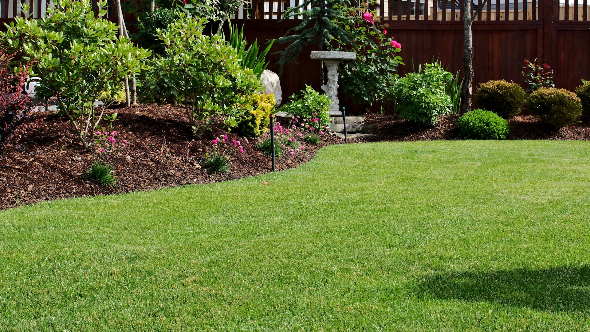 Lawn Mowing & Maintenance