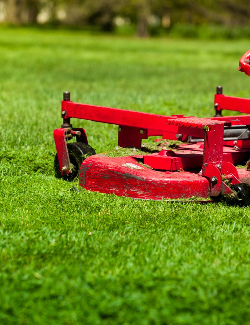 Close-up of professional lawn mower blades cutting grass